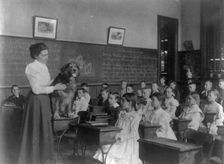Classroom scenes in Washington, D.C. public schools: studying live dog, 5th Division, (1899?). Creator: Frances Benjamin Johnston