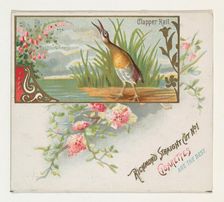 Clapper Rail, from the Game Birds series (N40) for Allen & Ginter Cigarettes, 1888-90. Creator: Allen & Ginter