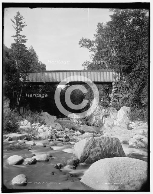 Clarendon Gorge, Green Mountains, between 1900 and 1906. Creator: Unknown.