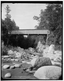 Clarendon Gorge, Green Mountains, between 1900 and 1906. Creator: Unknown