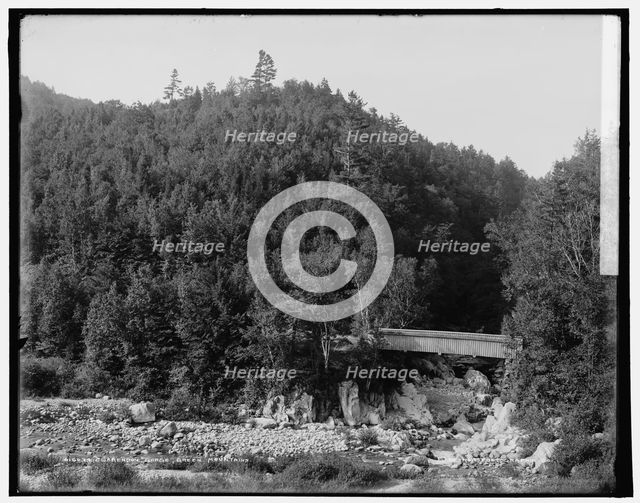 Clarendon Gorge, Green Mountains, between 1900 and 1906. Creator: Unknown.