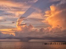 Clarioin Call. Creator: Eve Turek