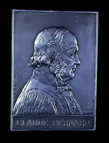 Claude Bernard, 19th century French physiologist, 1913. Creator: Unknown