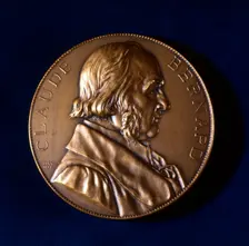 Claude Bernard, French physiologist, 19th century. Creator: Unknown