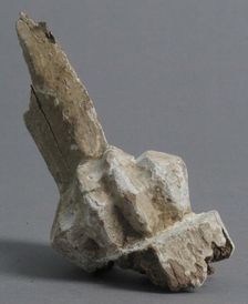 Claw Fragment, Coptic, 4th-7th century. Creator: Unknown
