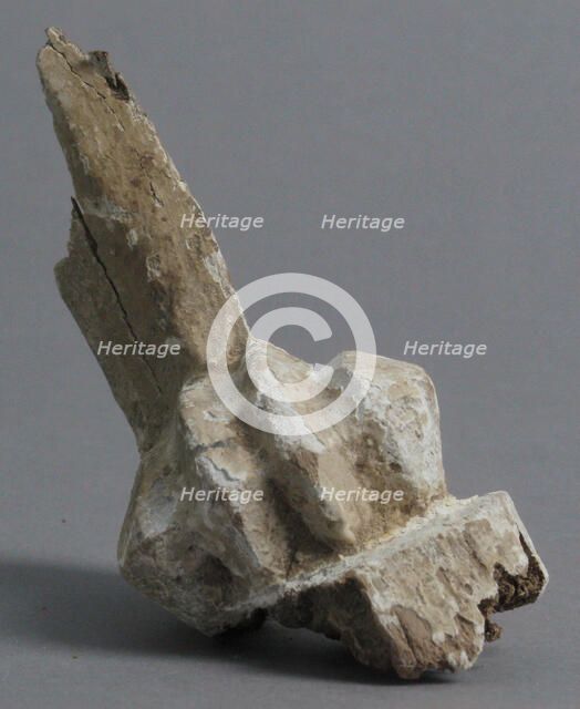 Claw Fragment, Coptic, 4th-7th century. Creator: Unknown.