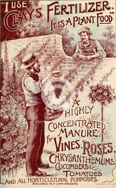 Clay's Fertilizer, c.1900. Artist: Unknown