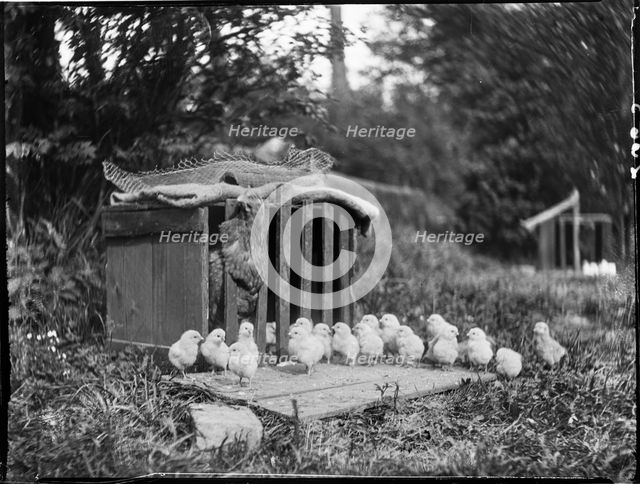 Clayton's Farm, Speldhurst, Tunbridge Wells, Kent, 1911. Creator: Katherine Jean Macfee.
