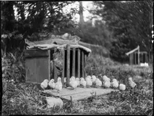 Clayton's Farm, Speldhurst, Tunbridge Wells, Kent, 1911. Creator: Katherine Jean Macfee