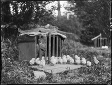 Clayton's Farm, Speldhurst, Tunbridge Wells, Kent, 1911. Creator: Katherine Jean Macfee