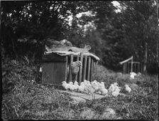 Clayton's Farm, Speldhurst, Tunbridge Wells, Kent, 1911. Creator: Katherine Jean Macfee