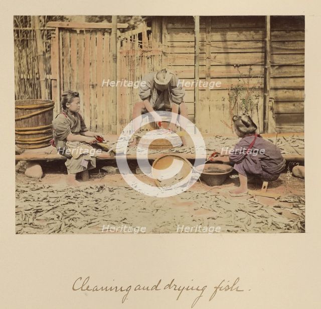 Cleaning and Drying Fish, about 1873-1883. Creator: Shinichi Suzuki I.