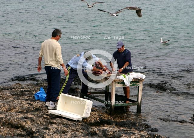 Cleaning Fish, Corralejo, Fuerteventura, Canary Islands. Creator: Peter Thompson.