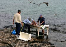 Cleaning Fish, Corralejo, Fuerteventura, Canary Islands. Creator: Peter Thompson