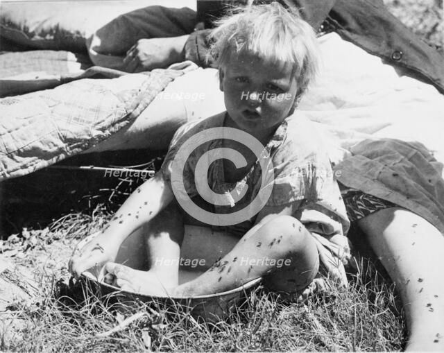 Cleanliness - Oklahoma refugees camping in Imperial Valley, California, 1935. Creator: Dorothea Lange.
