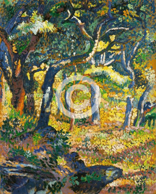 Clearing in Provence, c. 1906.