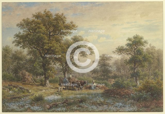 Clearing in the oak forest, mid-late 19th century. Creator: Jakob Maurer.