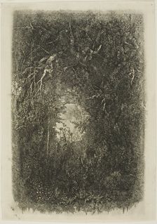 Clearing in the Forest, 1880. Creator: Rodolphe Bresdin