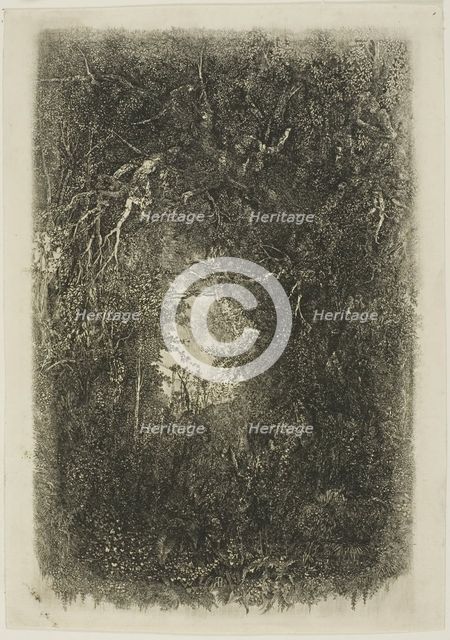 Clearing in the Forest, 1880. Creator: Rodolphe Bresdin.