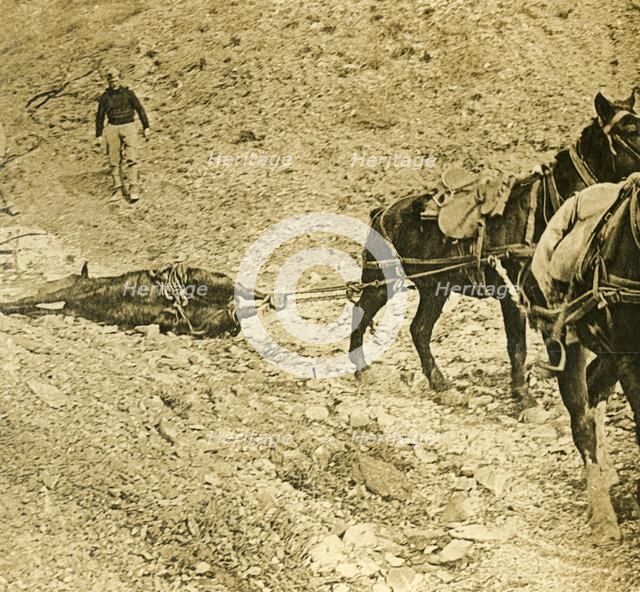 Clearing the battlefield, c1914-c1918. Artist: Unknown.