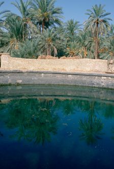 Cleopatra's Pool, Siwa, Egypt. Creator: Vivienne Sharp
