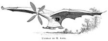 Clement Ader's flying bird Eole the first piloted plane to take off under its own steam, 1890