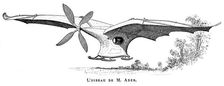 Clement Ader's flying bird Eole the first piloted plane to take off under its own steam, 1890