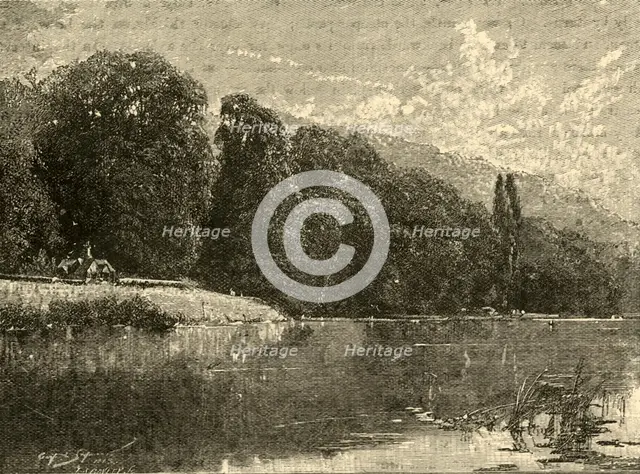 'Cliefden Woods', 1898. Creator: Unknown.
