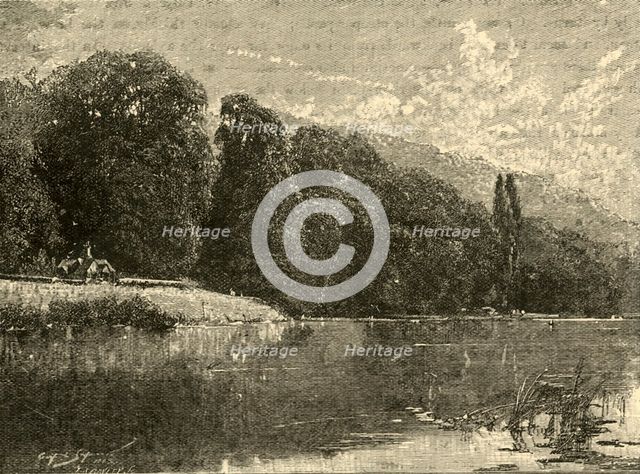 'Cliefden Woods', 1898. Creator: Unknown.