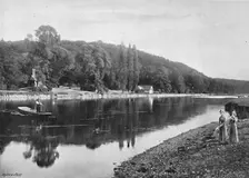 Cliefden Woods c1896. Artist: Frith & Co