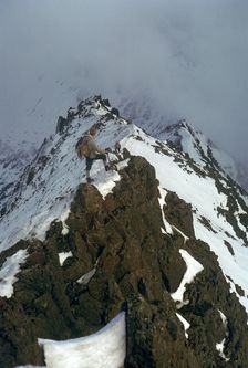 Climber on Crib Goch ridge on Snowdon