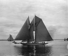 Clorita, 1899 June 17. Creator: John S Johnston