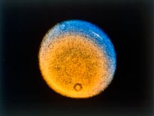 Clouds in the upper atmosphere of Uranus, from Voyager 2, c1986. Creator: NASA
