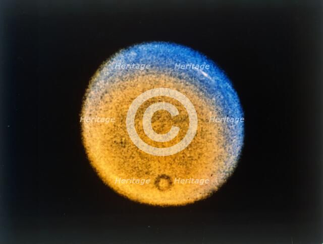 Clouds in the upper atmosphere of Uranus, from Voyager 2, c1986. Creator: NASA.