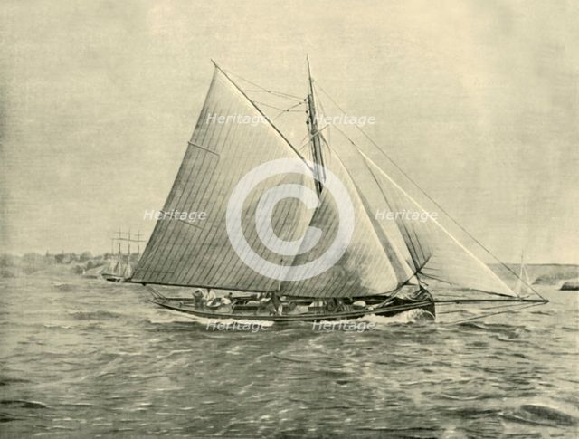 'Cruising in Port Jackson', 1901. Creator: Unknown.
