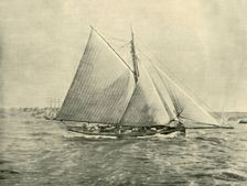 Cruising in Port Jackson 1901. Creator: Unknown
