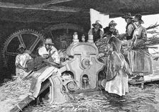 Crushing the Cane, 1886.Artist: W Mollier