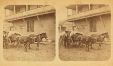 Cracker teams, c1850-c1930. Creator: D. J. Ryan