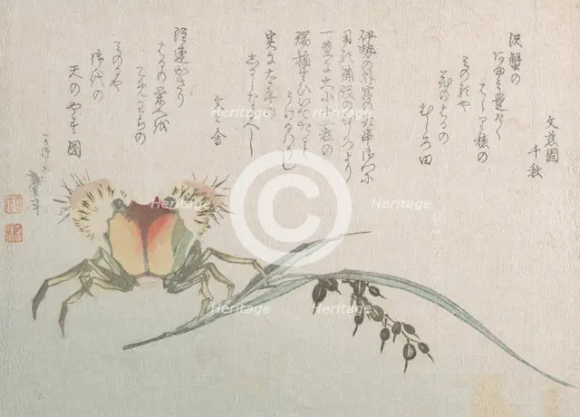 Crab and Rice Plant, 19th century. Creator: Hokusai.