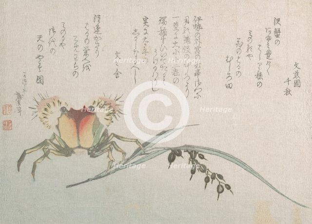 Crab and Rice Plant, 19th century. Creator: Hokusai.