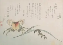 Crab and Rice Plant, 19th century. Creator: Hokusai