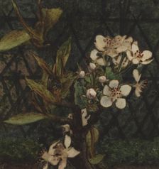 Crab Apple Blossom, 1863. Creator: Leon Bonvin