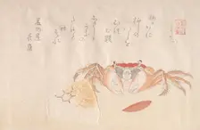 Crab, Baked Rice-Ball and Seed of Persimmon, 19th century. Creator: Kubo Shunman