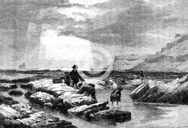 "Crab-Catchers", by E. Duncan, from the exhibition of the Water-Colour Society, 1861. Creator: Unknown.
