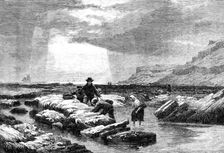 "Crab-Catchers", by E. Duncan, from the exhibition of the Water-Colour Society, 1861. Creator: Unknown