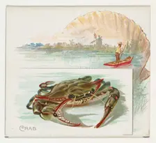Crab, from Fish from American Waters series (N39) for Allen & Ginter Cigarettes, 1889. Creator: Allen & Ginter