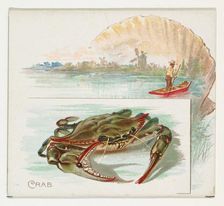 Crab, from Fish from American Waters series (N39) for Allen & Ginter Cigarettes, 1889. Creator: Allen & Ginter