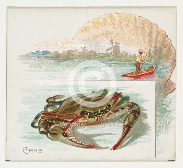 Crab, from Fish from American Waters series (N39) for Allen & Ginter Cigarettes, 1889. Creator: Allen & Ginter.
