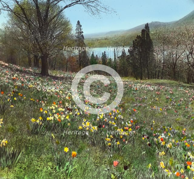 "Cragston," John Pierpont Morgan house, Highland Falls, New York., c1913. Creator: Frances Benjamin Johnston.