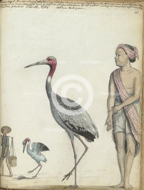 Crane, 1784. Creator: Jan Brandes.
